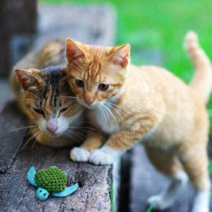 KONG Refillable Catnip Turtle Plush Cat Toy 11cm