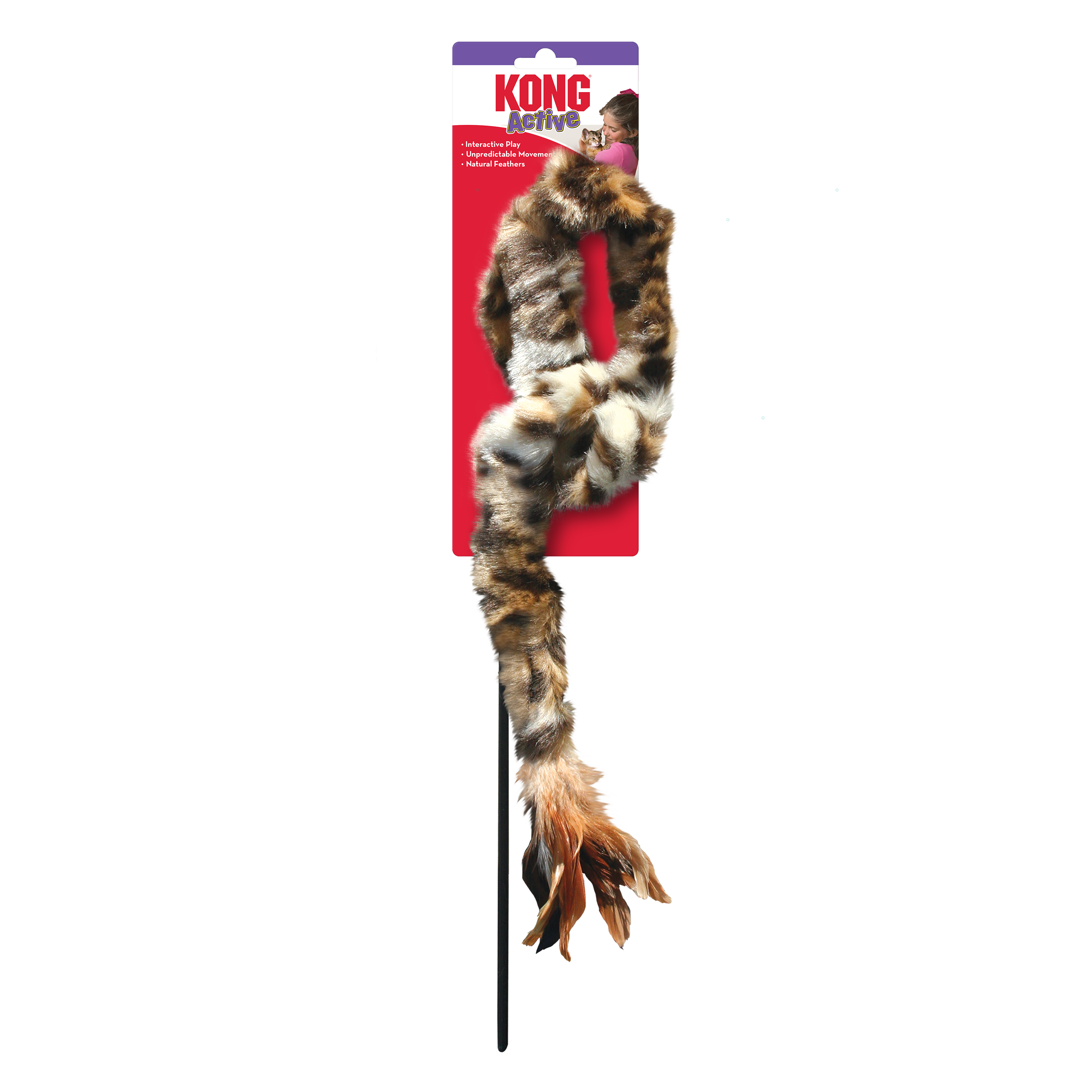 KONG Swizzle Bird Teaser Interactive Cat Toy