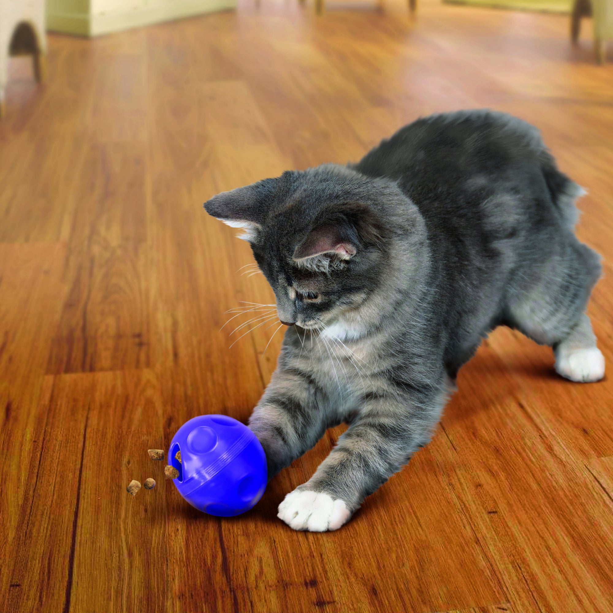 KONG Treat Ball Interactive Cat Toy 8cm