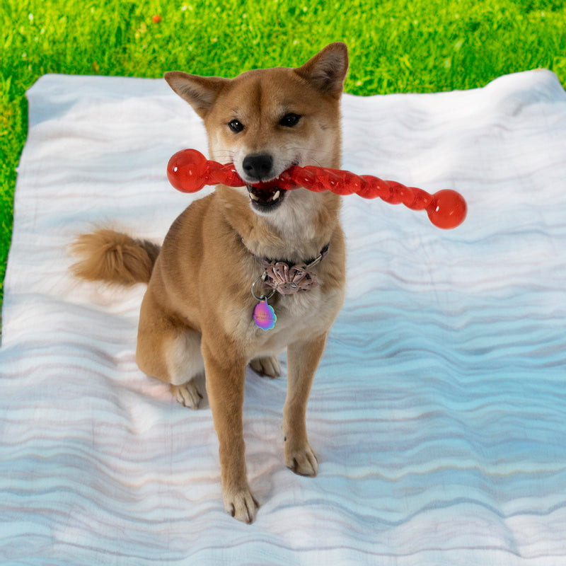 KONG Safestix Durable Fetch Dog Toy - Small (30cm)