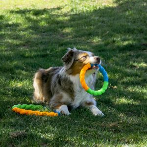 KONG Twistz High-Viz Ring Sm