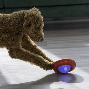 KONG Gyro Treat Dispensing Dog Toy - Small