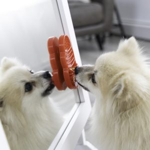 KONG Licks Treat Dispensing Dog Toy - Small