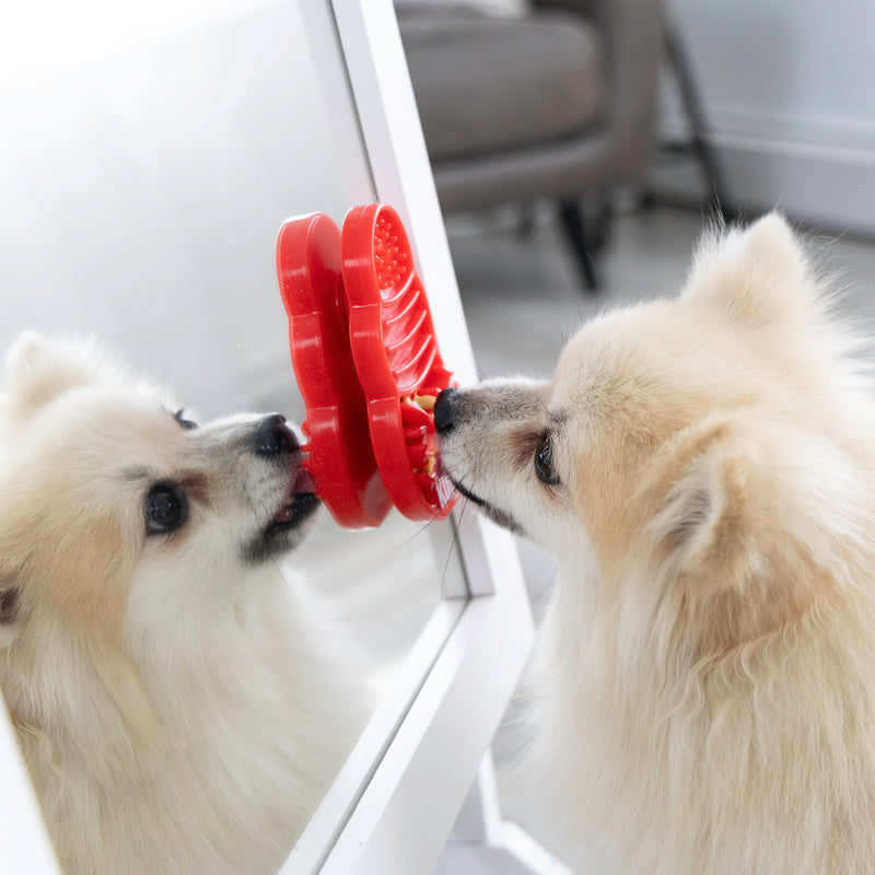 KONG Licks Treat Dispensing Dog Toy - Small