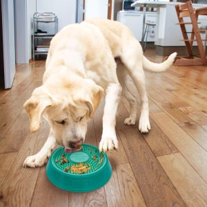 KONG Licks Spinz Treat Dispensing Dog Toy - Large