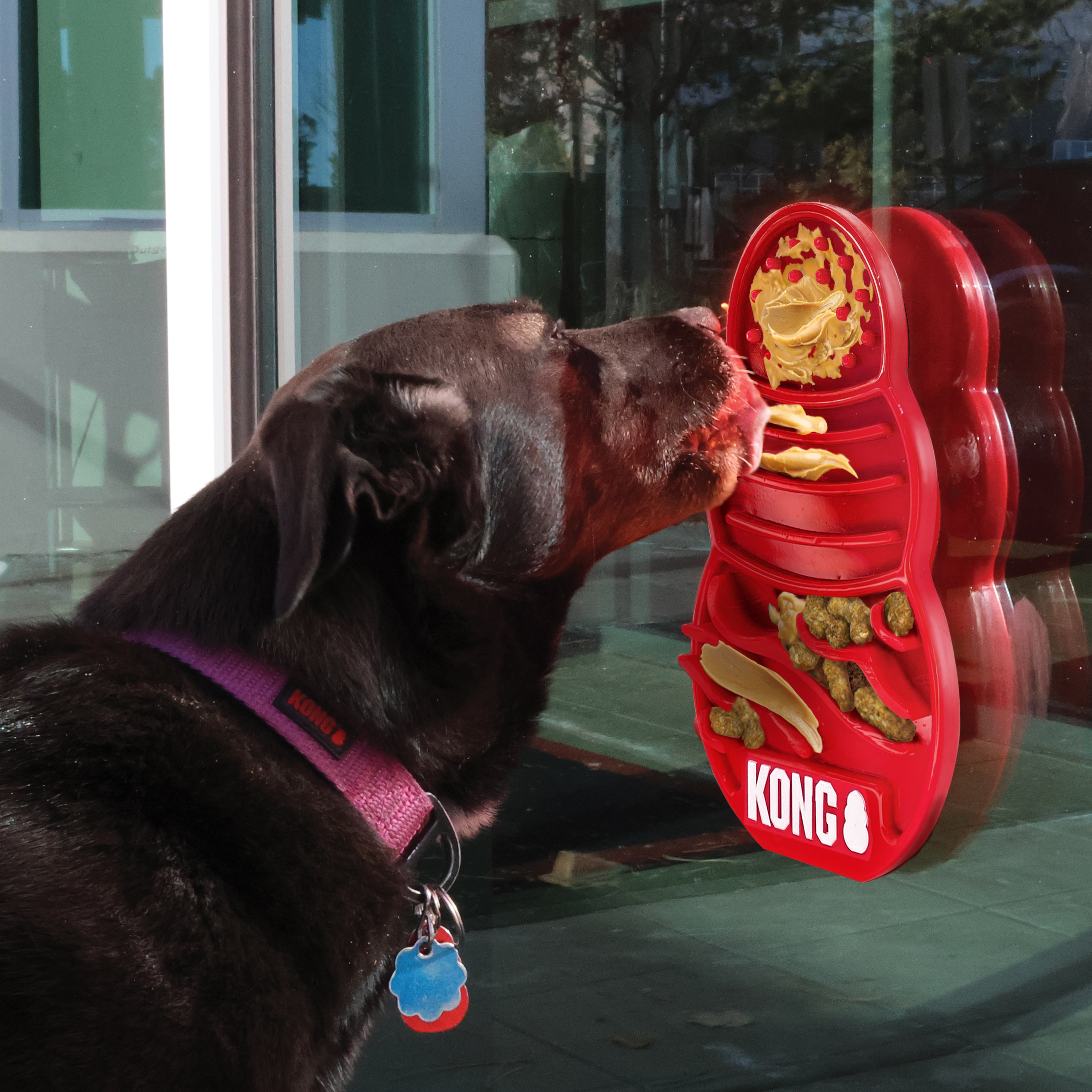 KONG Licks XL