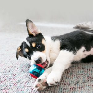 KONG Squeezz Action Squeaky Fetch Dog Toy - Small Red 3-Pack
