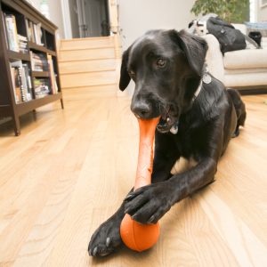 KONG SqueakStix Durable Squeaky Fetch Dog Toy - Large