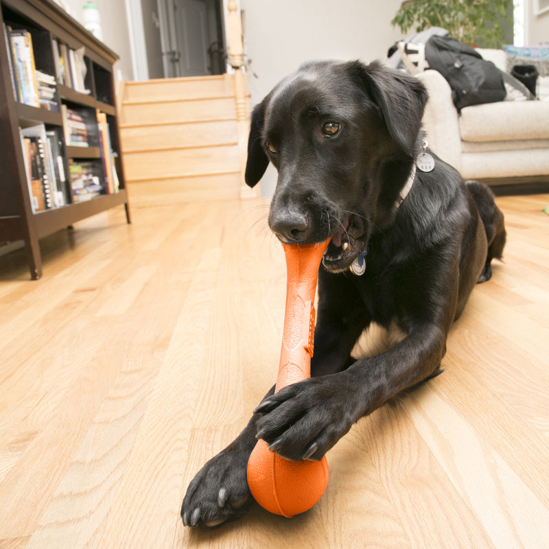 KONG SqueakStix Durable Squeaky Fetch Dog Toy - Large