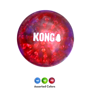 KONG Squeezz Geodz Squeaky Fetch Dog Toy - Large 2-Pack Assorted