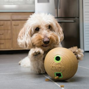 KONG Bamboo Feeder Dumbbell Eco-Friendly Dog Toy Medium