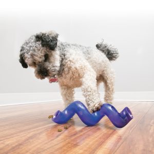 KONG Treat Spiral Stick Treat Dispensing Dog Toy - Large Assorted