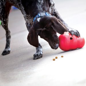 KONG Wobbler Interactive Treat Dispensing Dog Toy - Small Red (15cm)