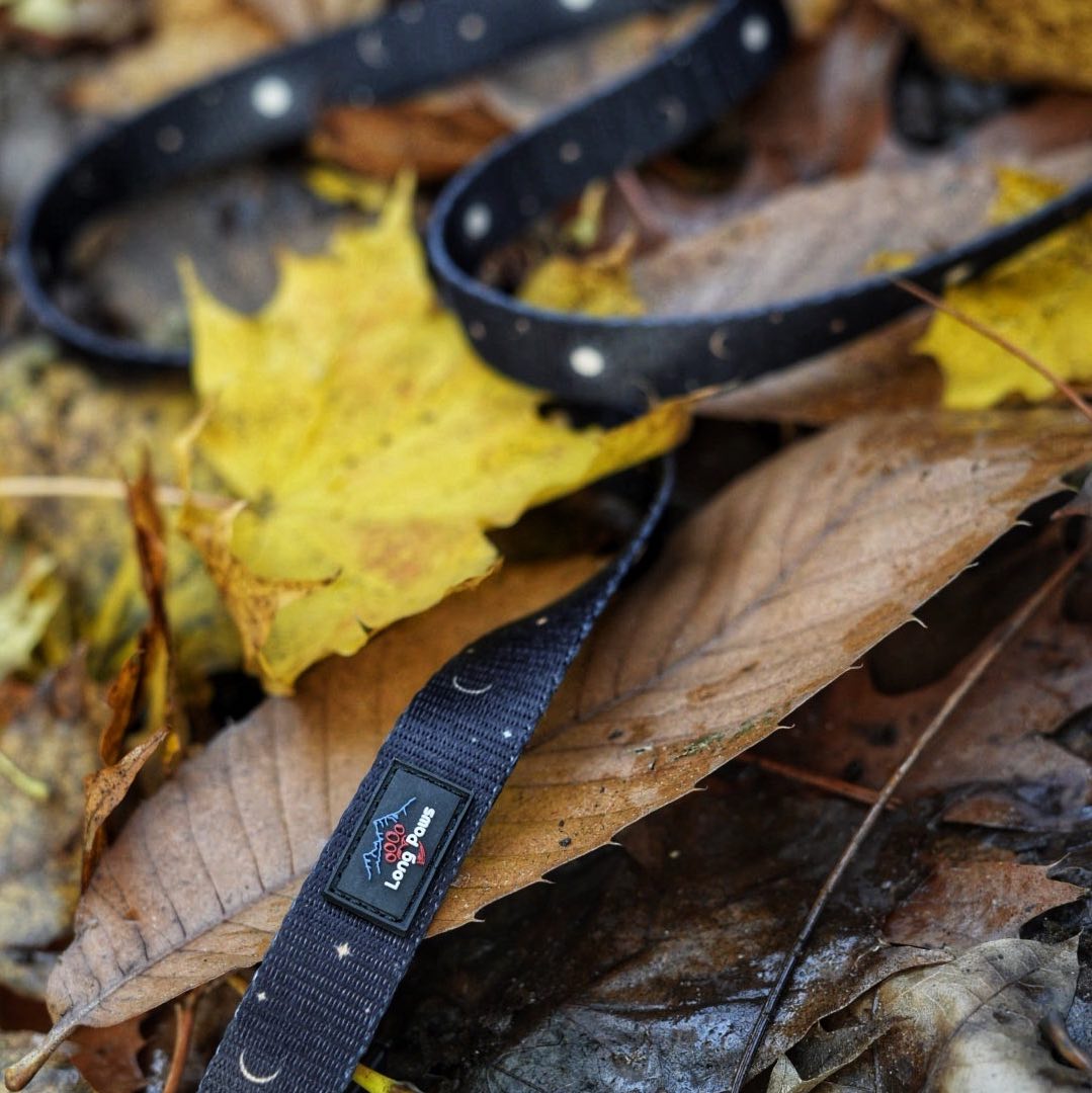 Harleys Companions - Funk the Dog Harness & Lead Set | Night Sky