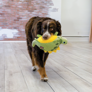KONG Dynos Roars Squeaky Dog Toy Medium/Large - Green