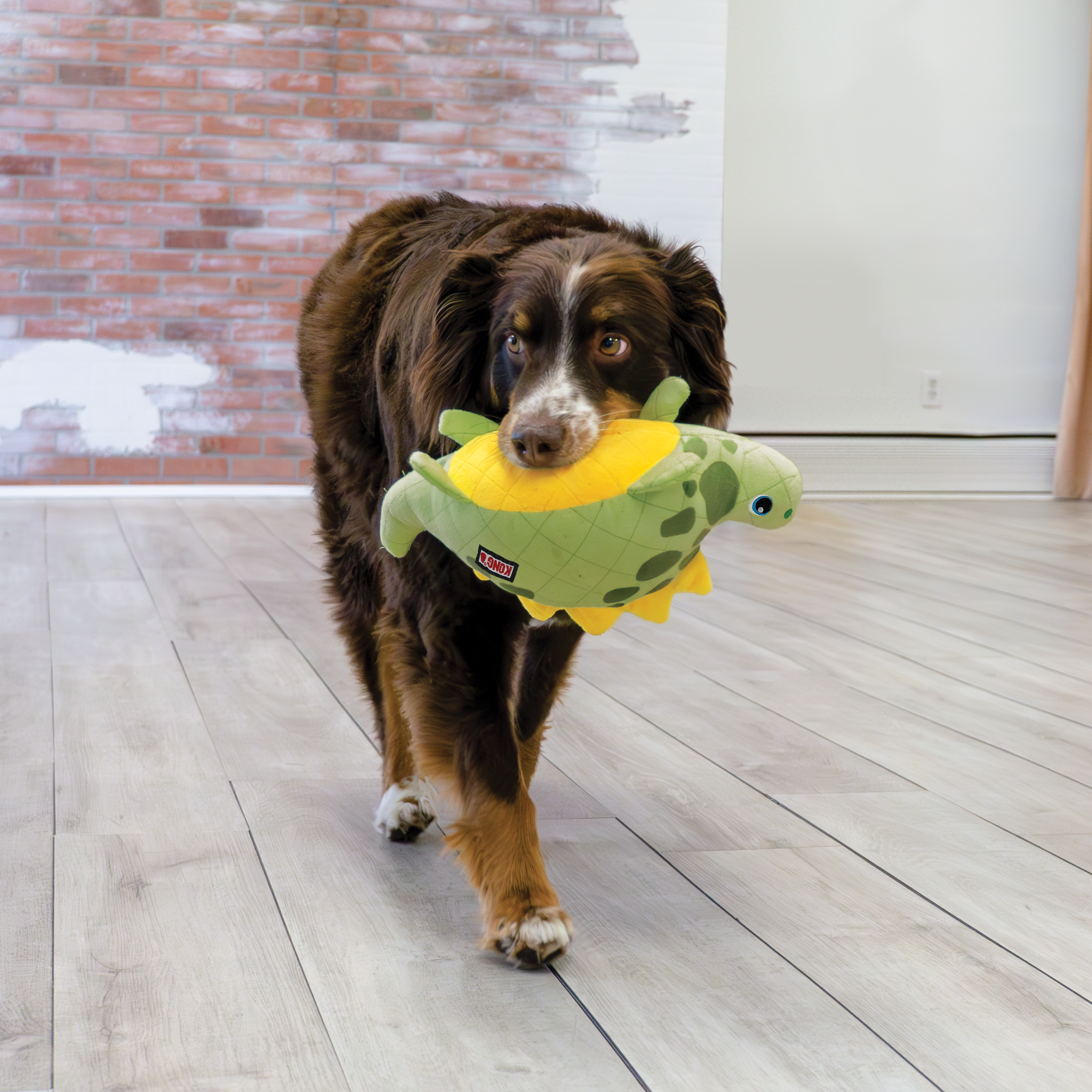 KONG Dynos Roars Squeaky Dog Toy Medium/Large - Green