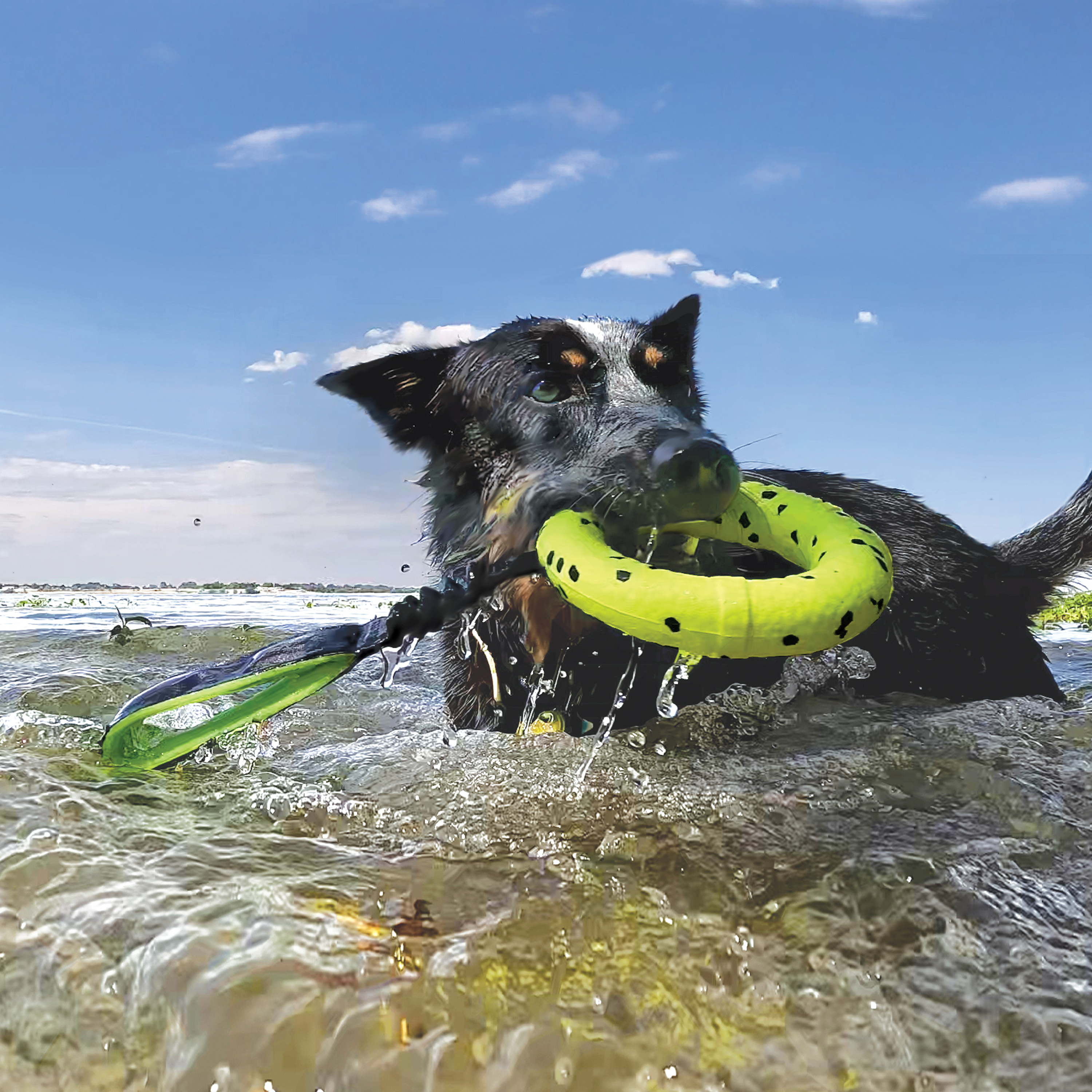 KONG Reflex Durable Tug Dog Toy