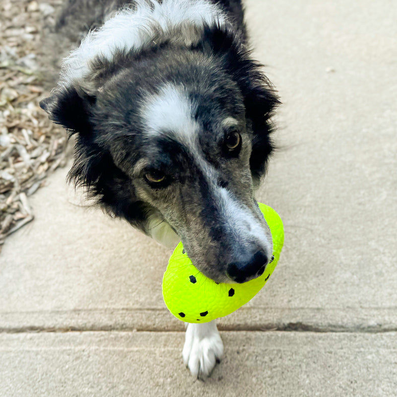 KONG Reflex Durable Fetch Dog Toy - Football Medium/Large