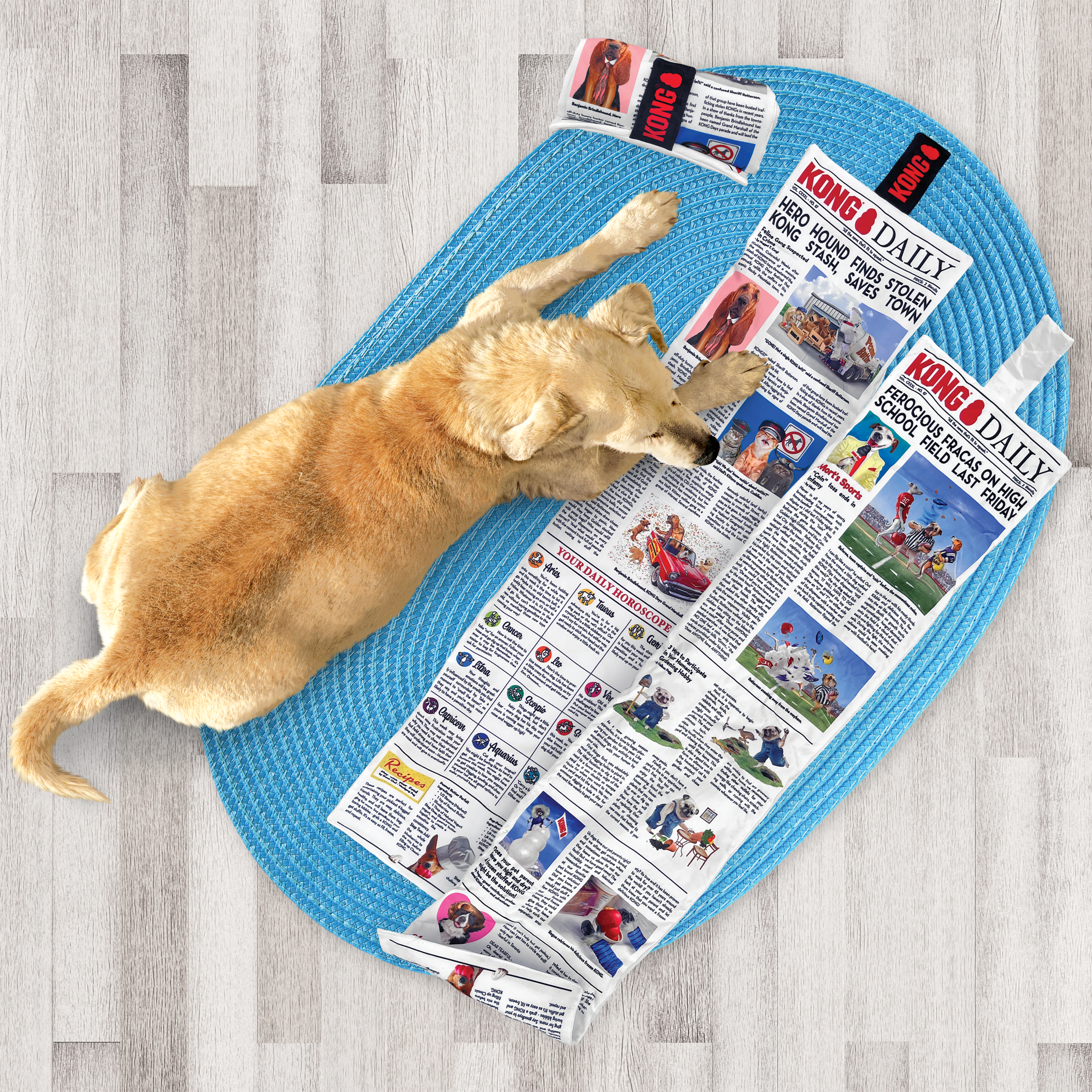 KONG Daily Newspaper Plush Dog Toy X-Large