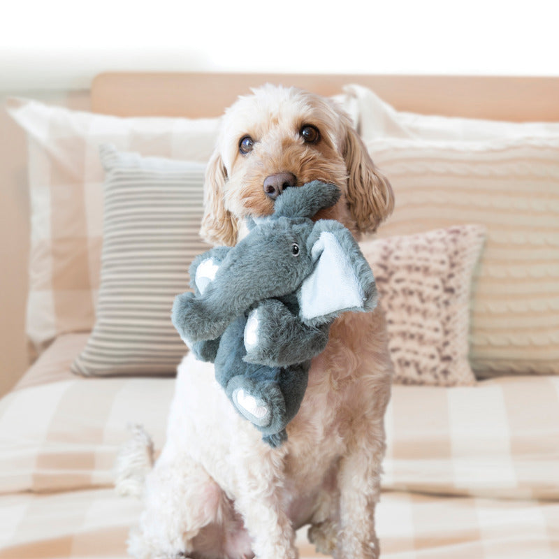 KONG Comfort Kiddos Lion Plush Dog Toy Large