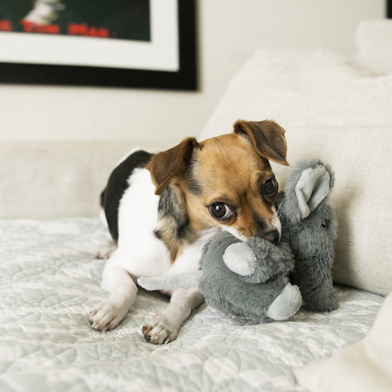 KONG Comfort Kiddos Elephant Plush Dog Toy X-Small
