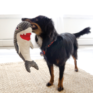 KONG Cuteseas Rufflez Shark Plush Dog Toy Medium/Large