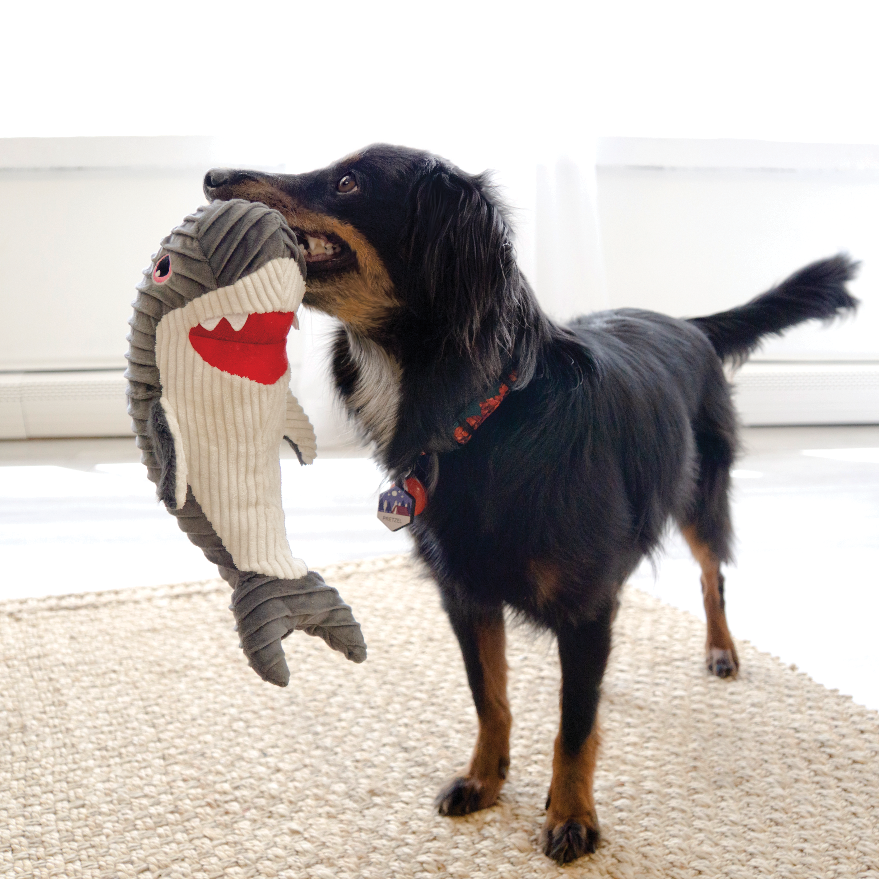 KONG Cuteseas Rufflez Shark Plush Dog Toy Medium/Large