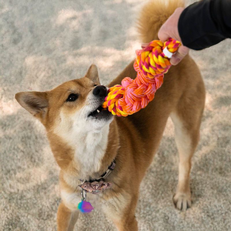 KONG Rope Bunji Durable Tug Dog Toy - Small Assorted