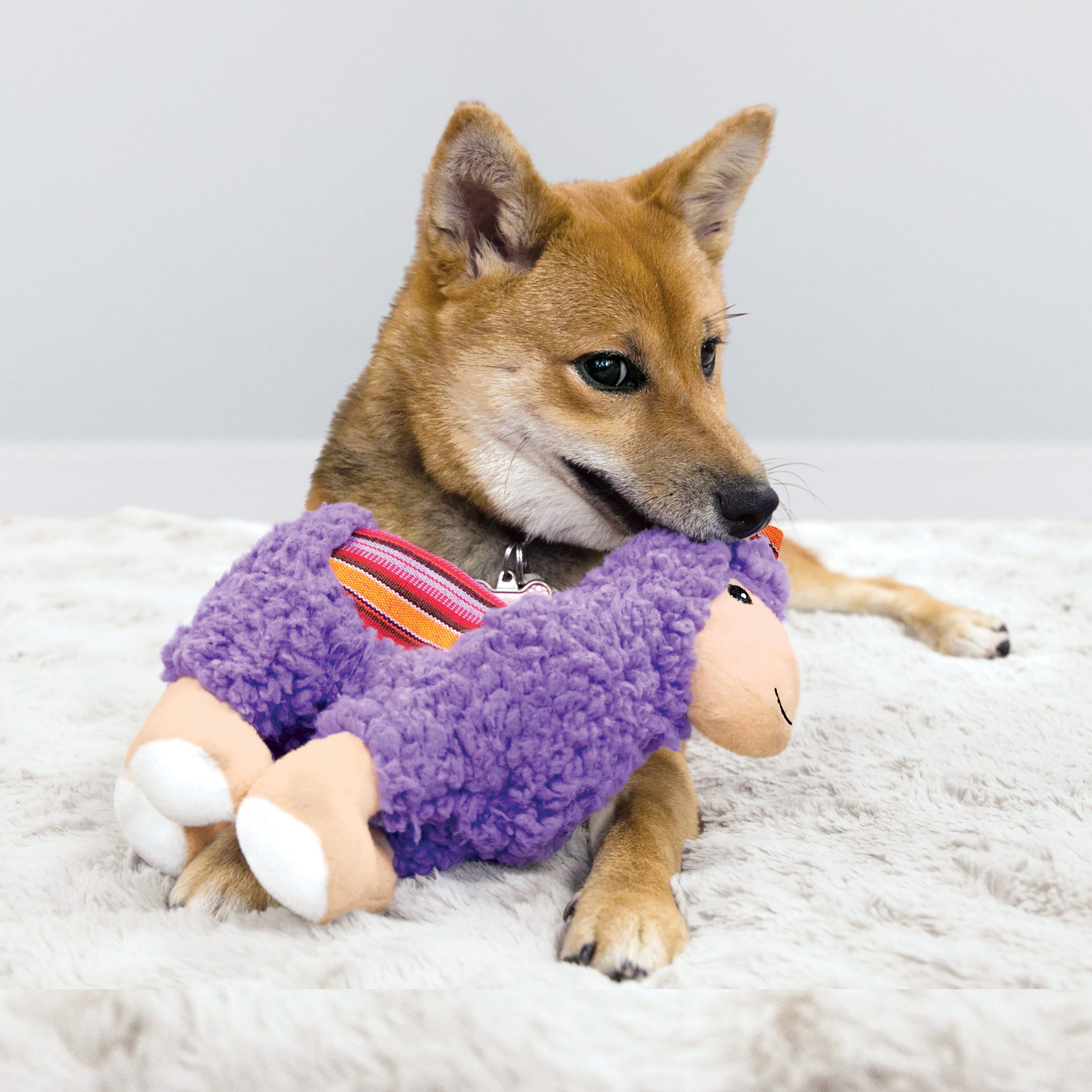 KONG Sherps Llama Squeaky Plush Dog Toy - Medium
