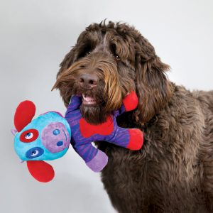 KONG Switcheroos Squeaky Plush Dog Toy - Large Assorted