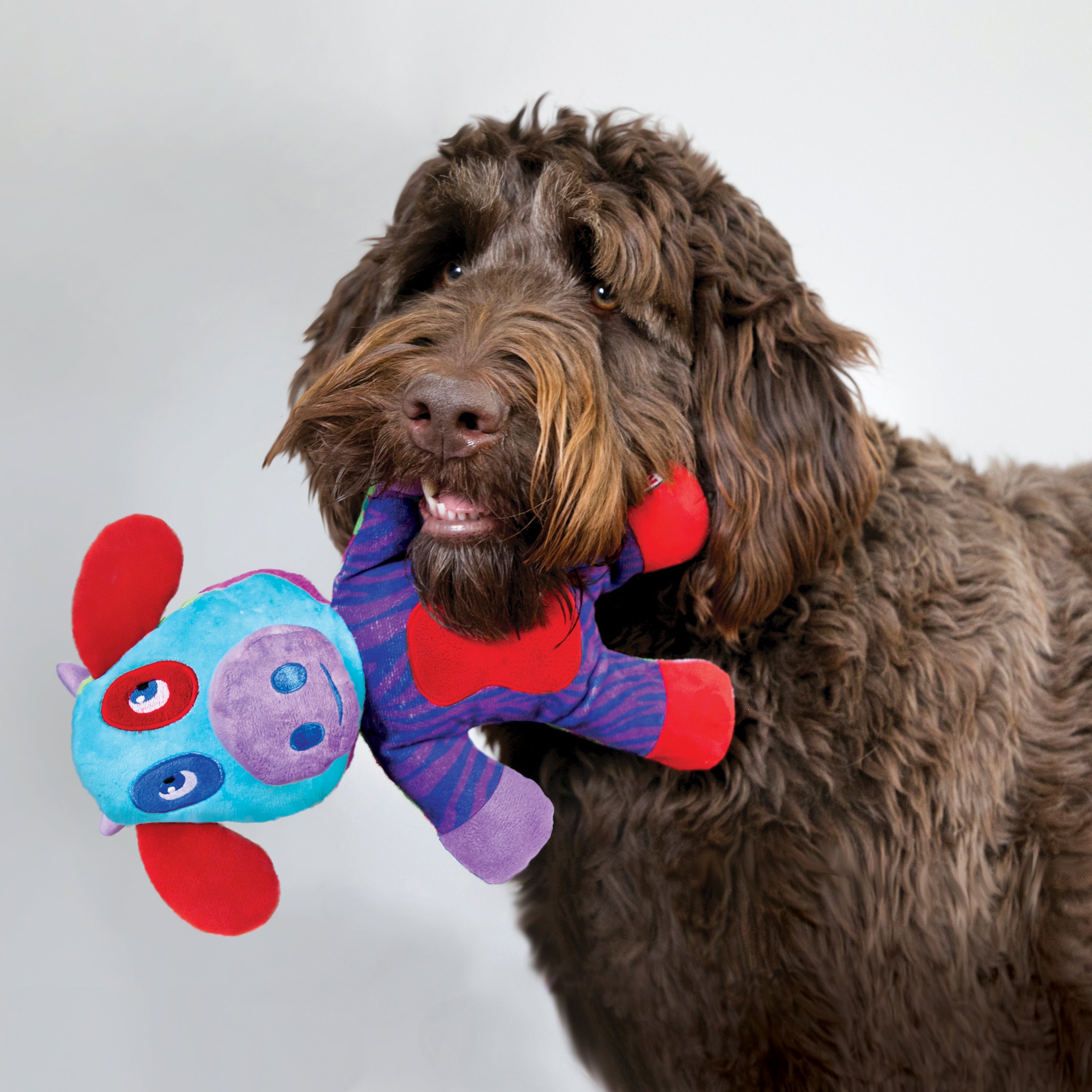 KONG Switcheroos Squeaky Plush Dog Toy - Large Assorted