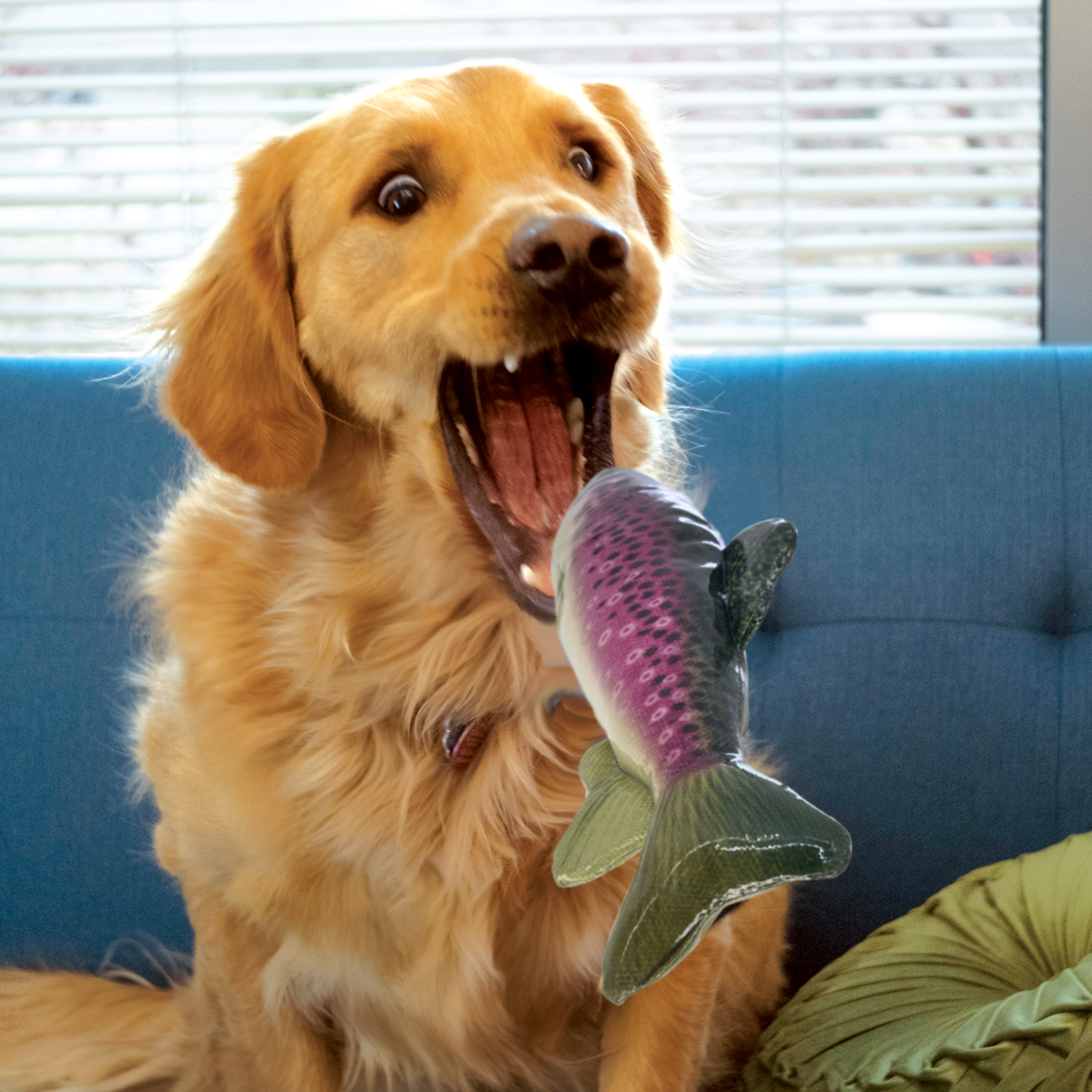 KONG Wild Shieldz Trout Durable Fetch Dog Toy - Medium
