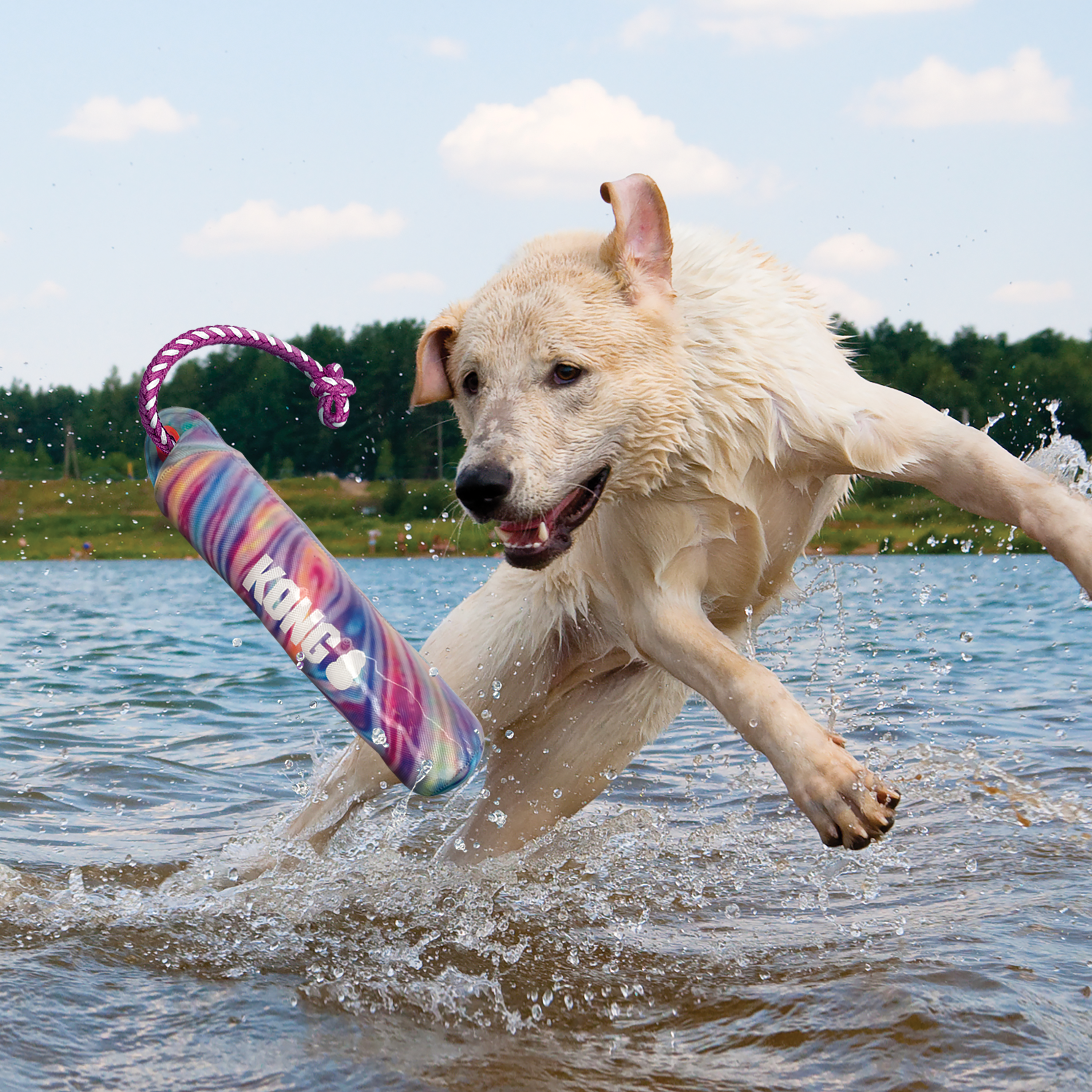 KONG Wild Shieldz Training Dummy Durable Fetch Dog Toy - Small/Medium Swirl