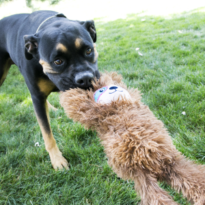 KONG Tuggz Sloth Squeaky Tug Plush Dog Toy - X-Large