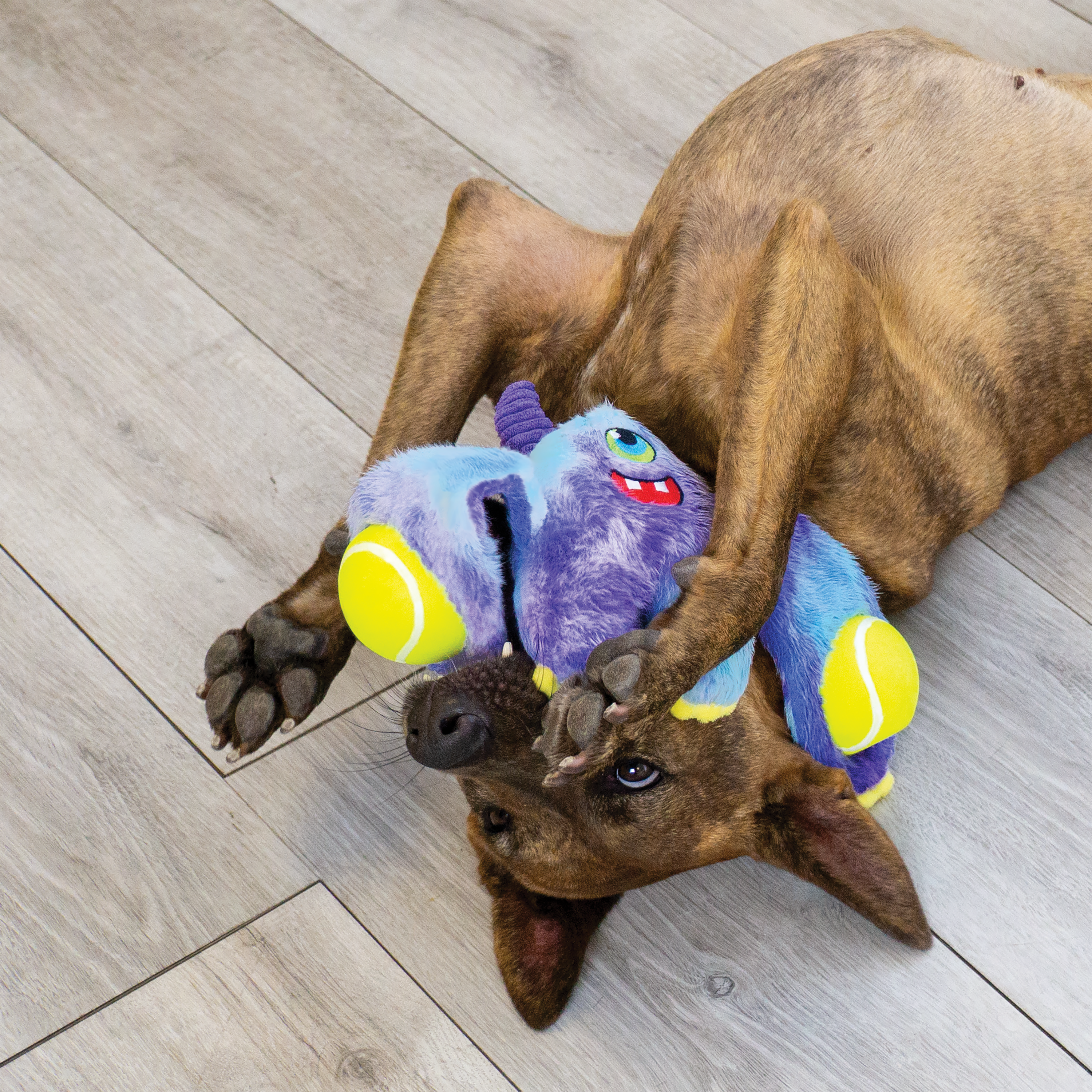 KONG Woozles Monster Squeaky Plush Dog Toy - Medium Assorted
