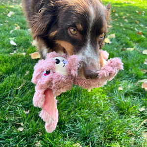 KONG Scrumplez Bunny Squeaky Plush Dog Toy - Medium