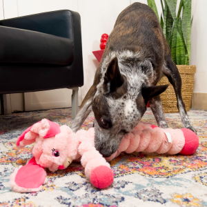KONG Shakers Crumples Bunny Squeaky Tug Dog Toy - X-Large