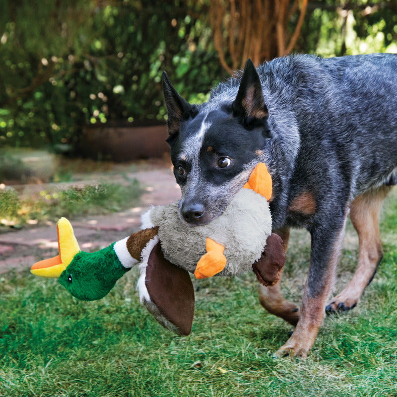 KONG Shakers Honkers Duck Squeaky Tug Dog Toy - Large