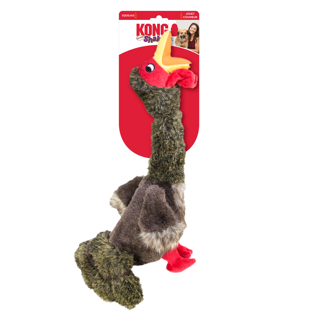 KONG Shakers Honkers Duck Squeaky Tug Dog Toy - Small