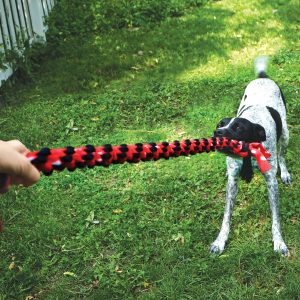 KONG Signature Rope 22" Double Tug Durable Dog Toy