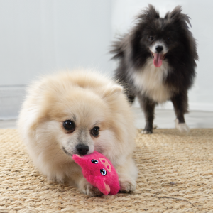 KONG Snuzzles Mini Frog Squeaky Plush Dog Toy - X-Small