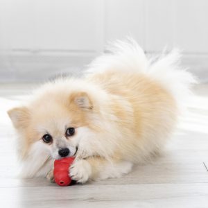 KONG Classic Durable Dog Chew Toy Small 7cm - Red