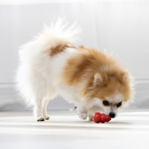 KONG Classic Durable Dog Chew Toy X-Small 5.5cm - Red