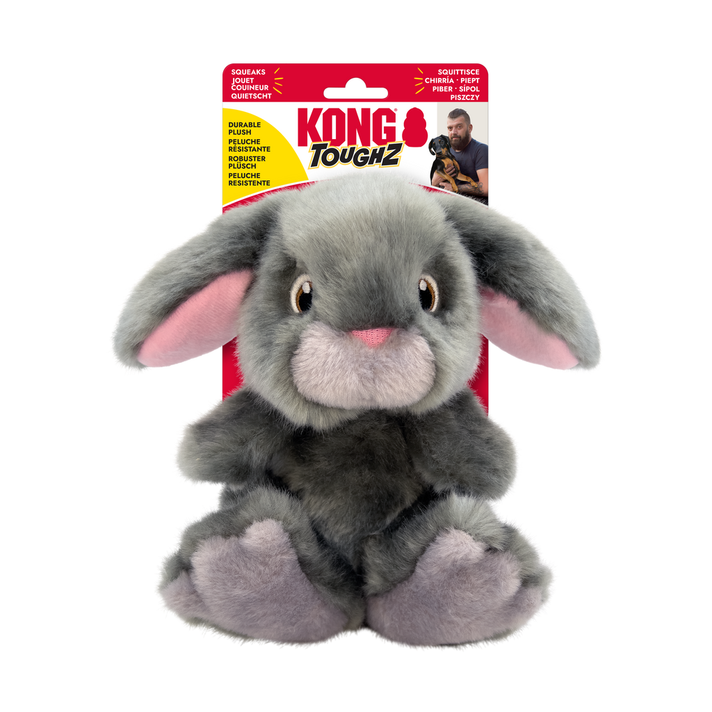 KONG Toughz Duck Durable Squeaky Plush Dog Toy - Medium