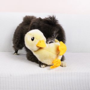 KONG Toughz Duck Durable Squeaky Plush Dog Toy - Medium