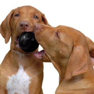 KONG Ball Extreme Durable Dog Toy Medium/Large 7.6cm - Black
