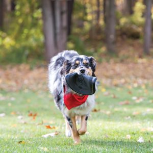 KONG Flyer Extreme Durable Flying Disc Dog Toy - Large Black