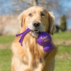 KONG Wubba Durable Squeaky Tug Dog Toy - Large Red/Blue/Purple (32cm)