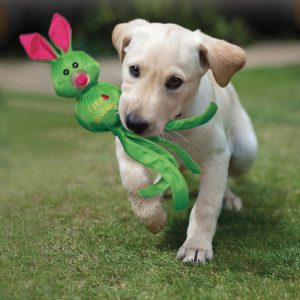 KONG Wubba Ballistic Friend Durable Squeaky Tug Dog Toy - Small Assorted (21cm)