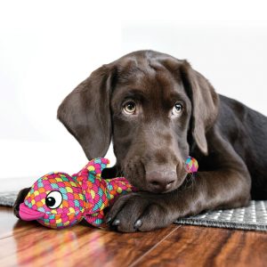 KONG Wubba Finz Squeaky Tug Dog Toy - Small Pink
